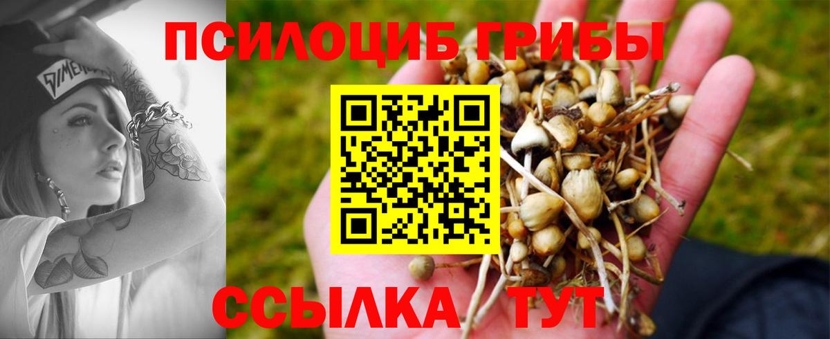 Галлюциногенные грибы Magic Shrooms  Вход с VPN  Топки 